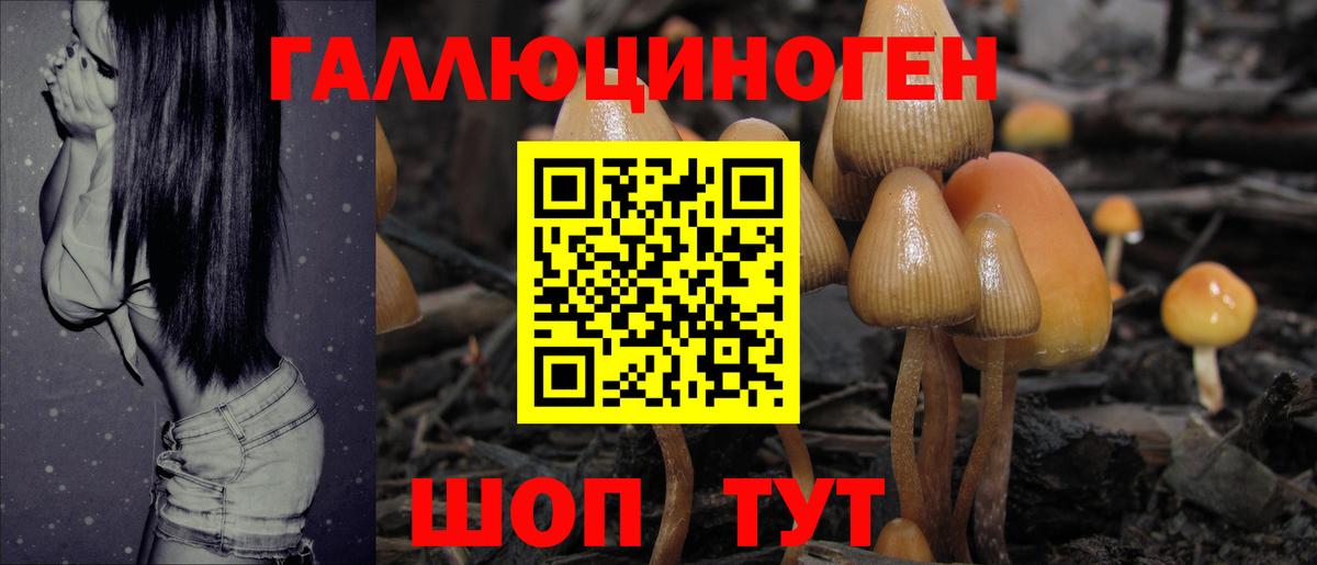 Галлюциногенные грибы мицелий  Вход с VPN  Коркино 